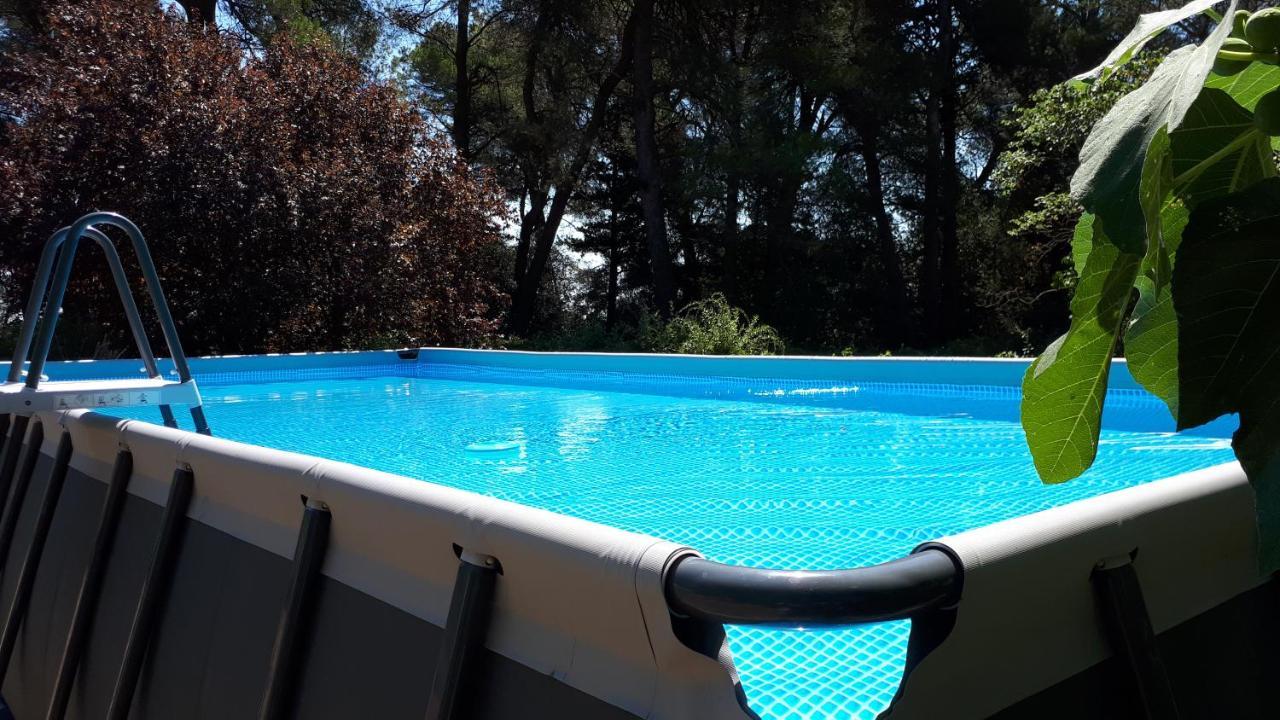 Bed and Breakfast Domaine De La Matte Conques-sur-Orbiel Exterior foto